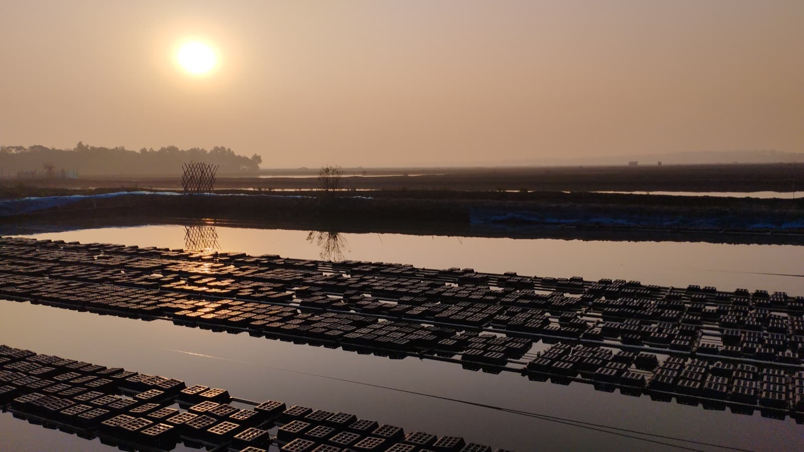 Coastal livelihoods at the water’s edge